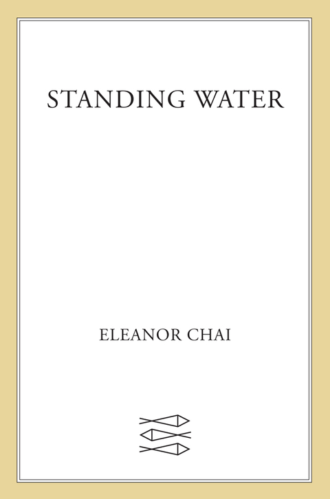 Cover image for book Standing Water