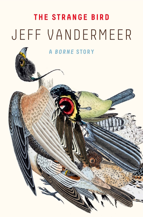 Cover image for book The Strange Bird