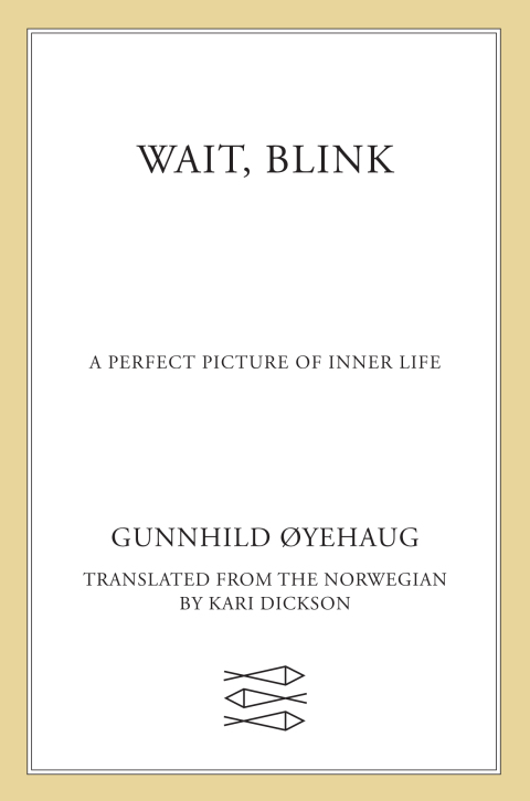 Cover image for book Wait, Blink