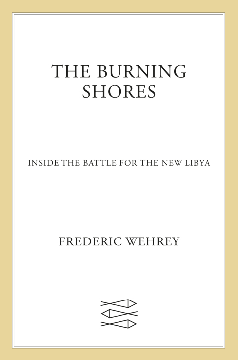 Cover image for book The Burning Shores