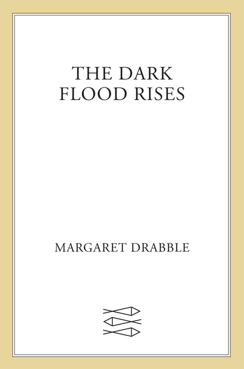 Cover image for book The Dark Flood Rises