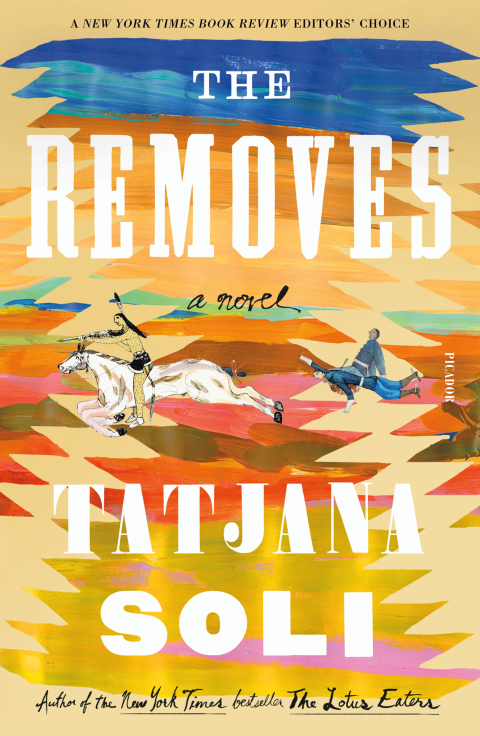 Cover image for book The Removes