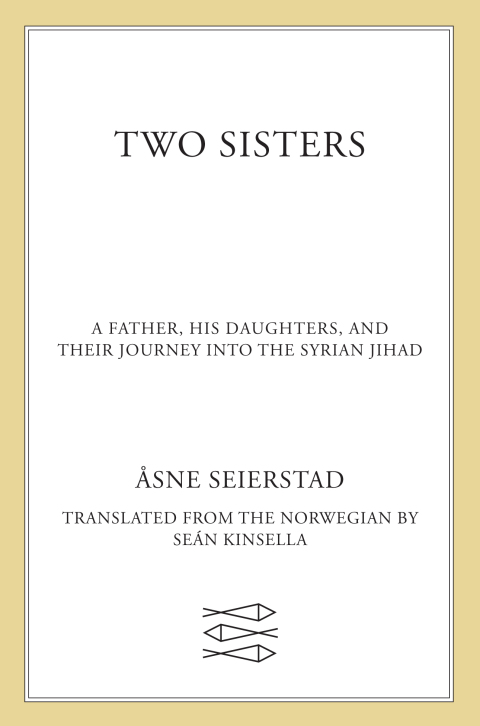 Cover image for book Two Sisters