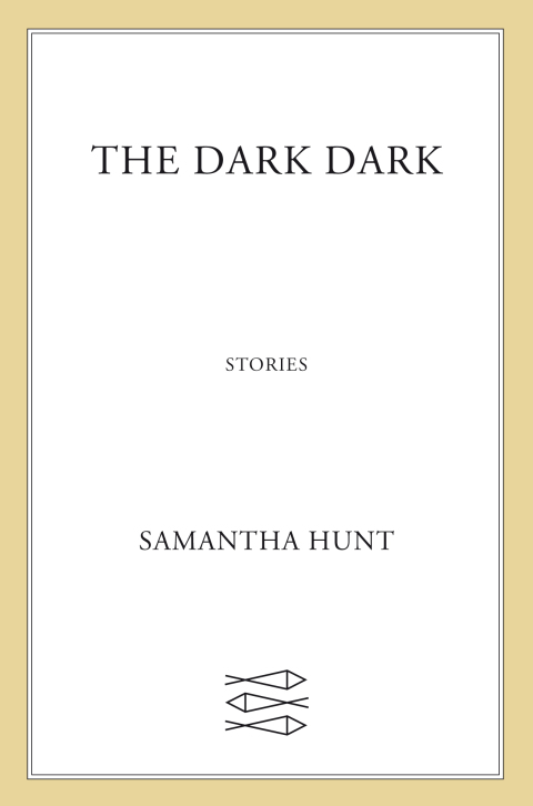Cover image for book The Dark Dark
