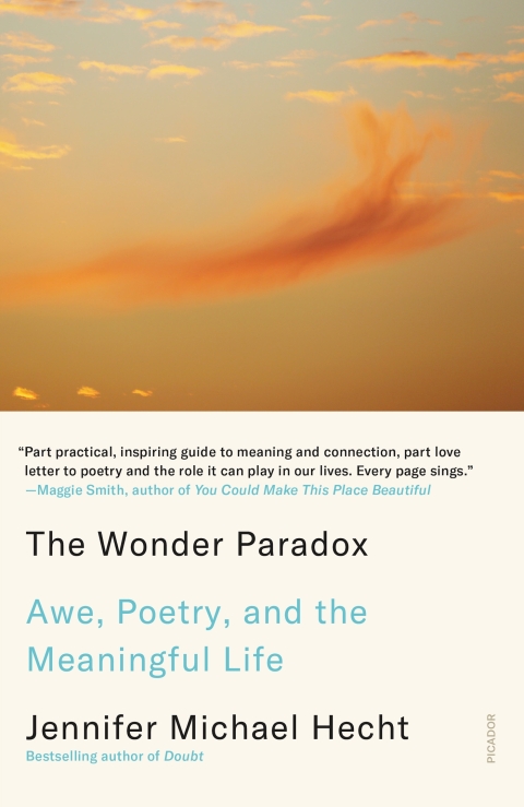 Cover image for book The Wonder Paradox