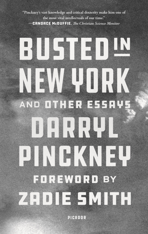Cover image for book Busted in New York and Other Essays