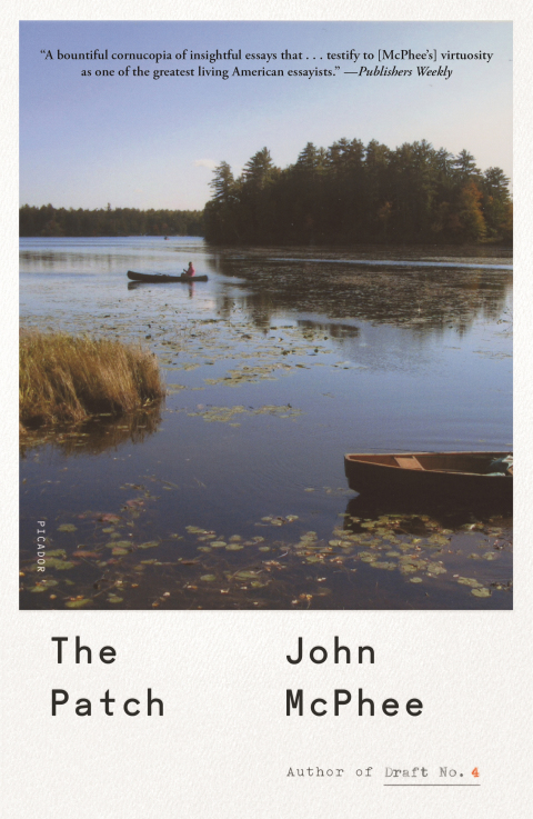 Cover image for book The Patch