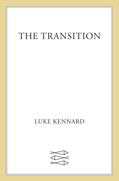 Cover image for book The Transition