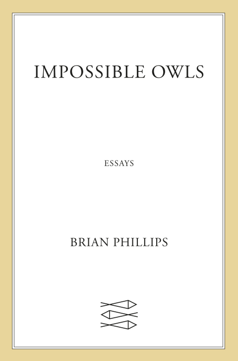 Cover image for book Impossible Owls