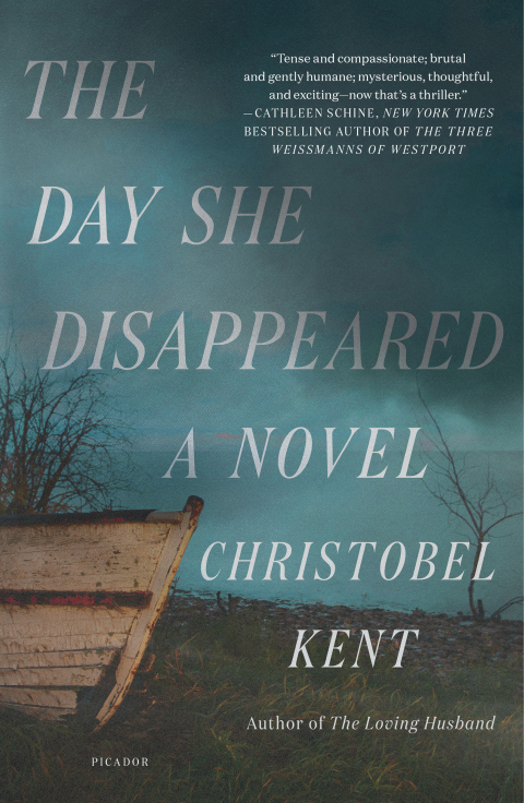 Cover image for book The Day She Disappeared
