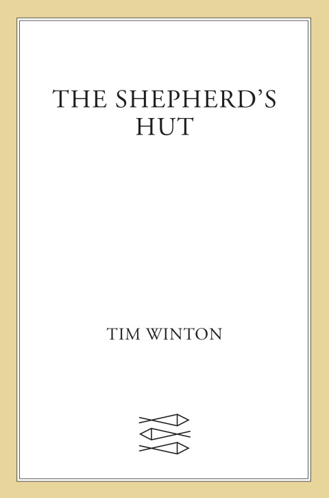 Cover image for book The Shepherd's Hut