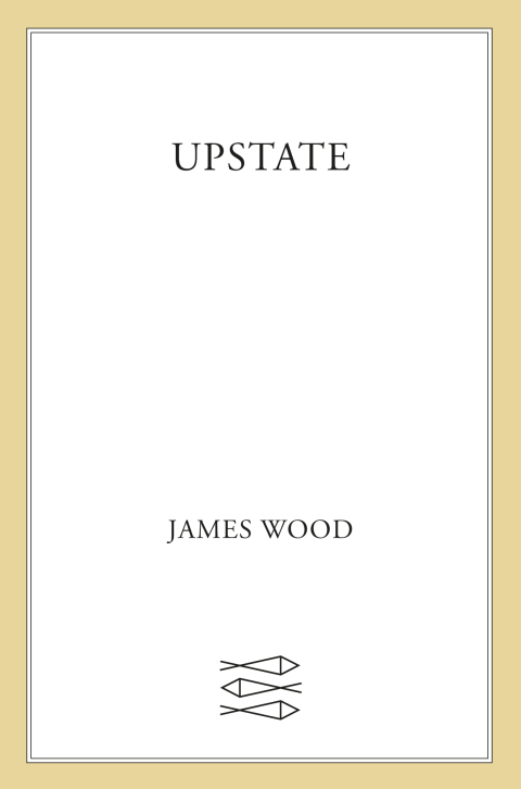 Cover image for book Upstate