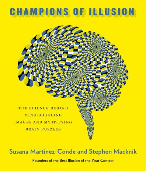 Cover image for book Champions of Illusion