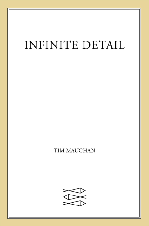 Cover image for book Infinite Detail