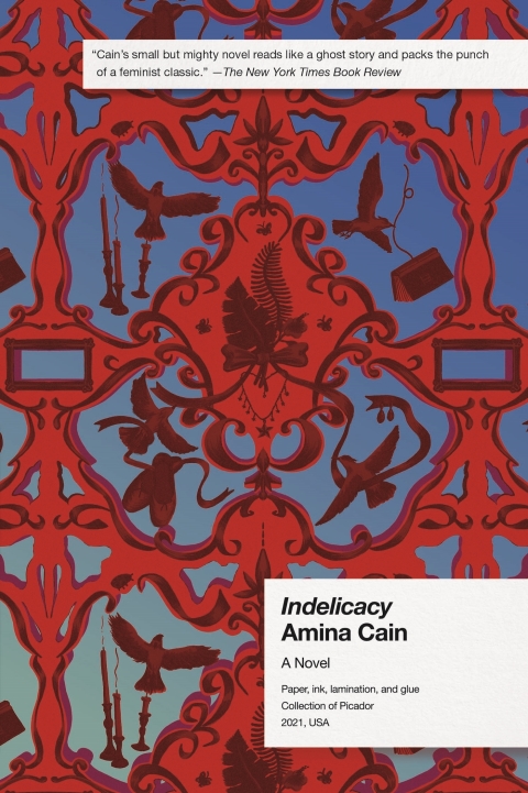 Cover image for book Indelicacy