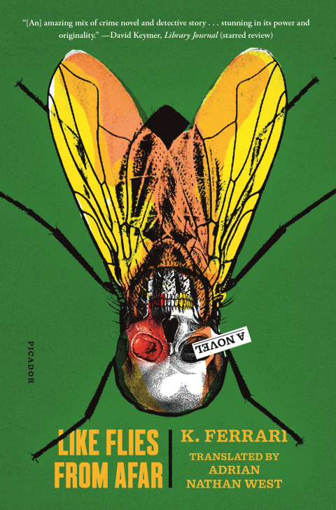 Cover image for book Like Flies from Afar