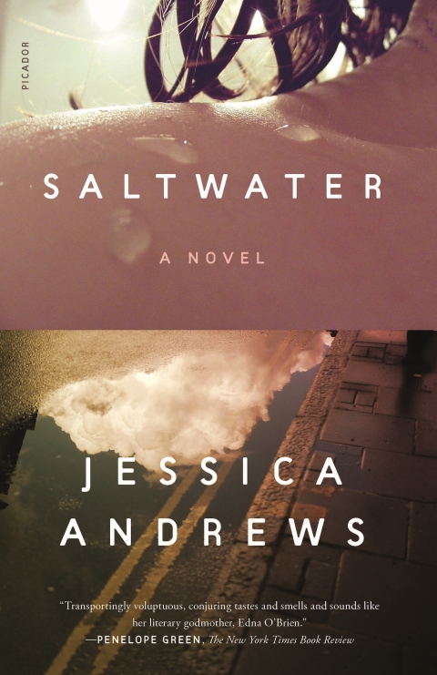 Cover image for book Saltwater
