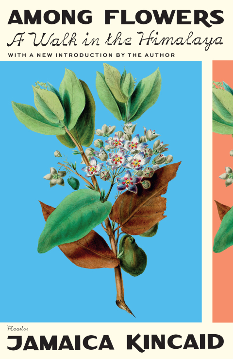 Cover image for book Among Flowers