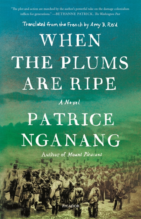 Cover image for book When the Plums Are Ripe