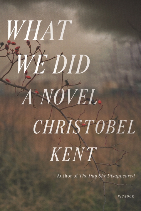 Cover image for book What We Did