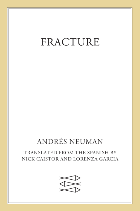 Cover image for book Fracture