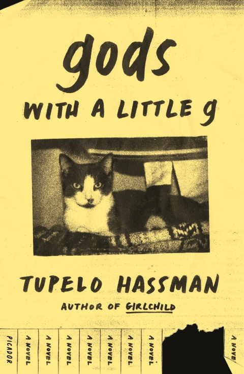 Cover image for book gods with a little g