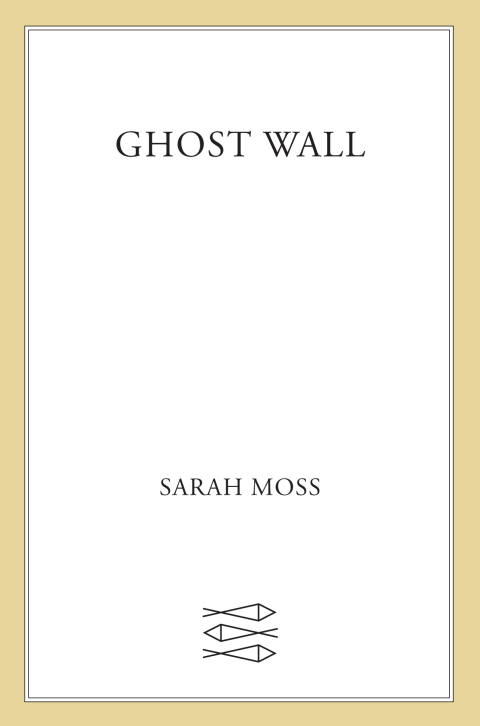 Cover image for book Ghost Wall