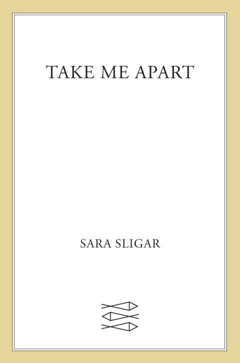 Cover image for book Take Me Apart