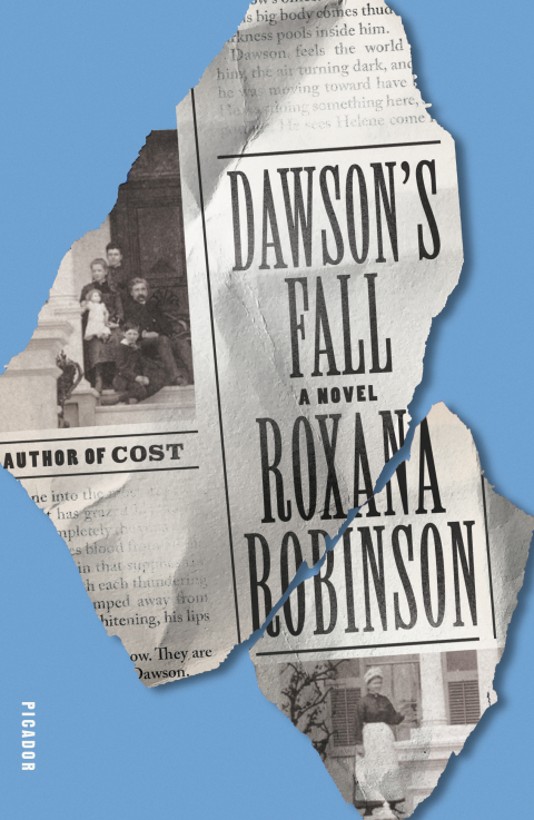 Cover image for book Dawson's Fall