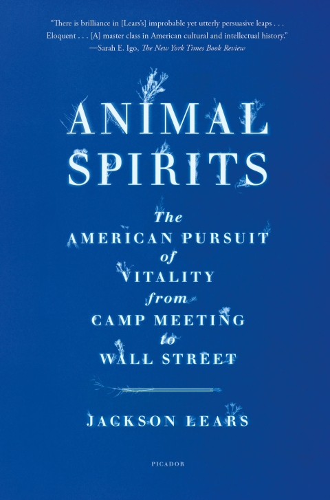 Cover image for book Animal Spirits