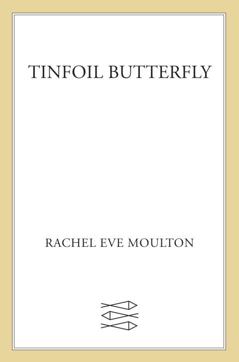 Cover image for book Tinfoil Butterfly