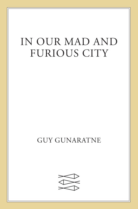 Cover image for book In Our Mad and Furious City
