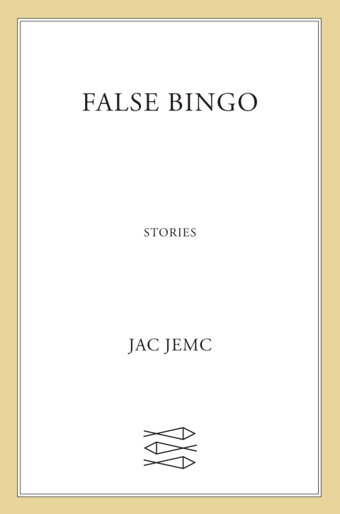 Cover image for book False Bingo