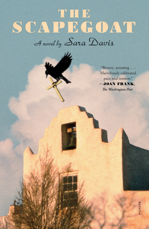 Cover image for book The Scapegoat