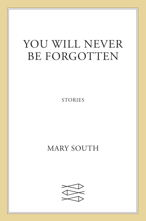 Cover image for book You Will Never Be Forgotten