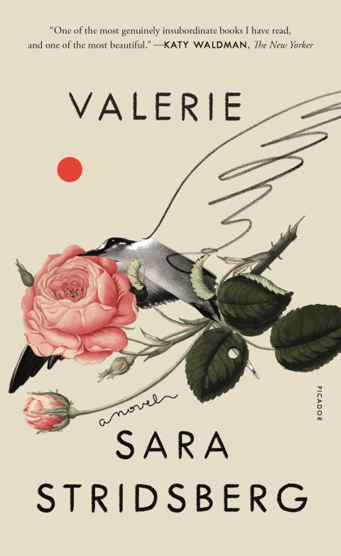 Cover image for book Valerie
