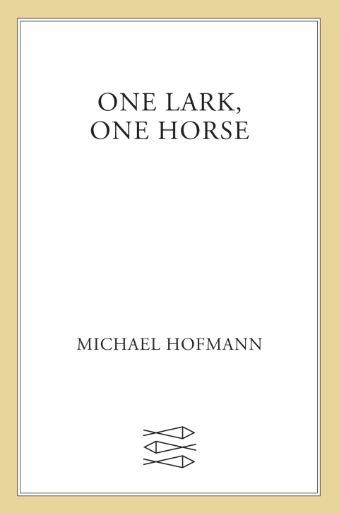 Cover image for book One Lark, One Horse