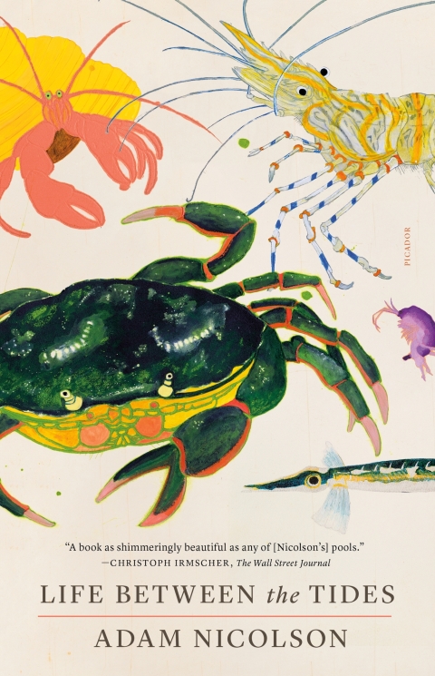 Cover image for book Life Between the Tides