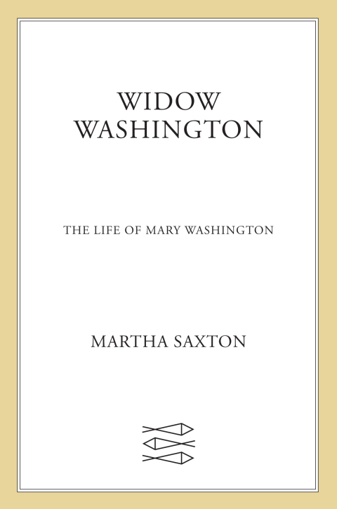 Cover image for book The Widow Washington