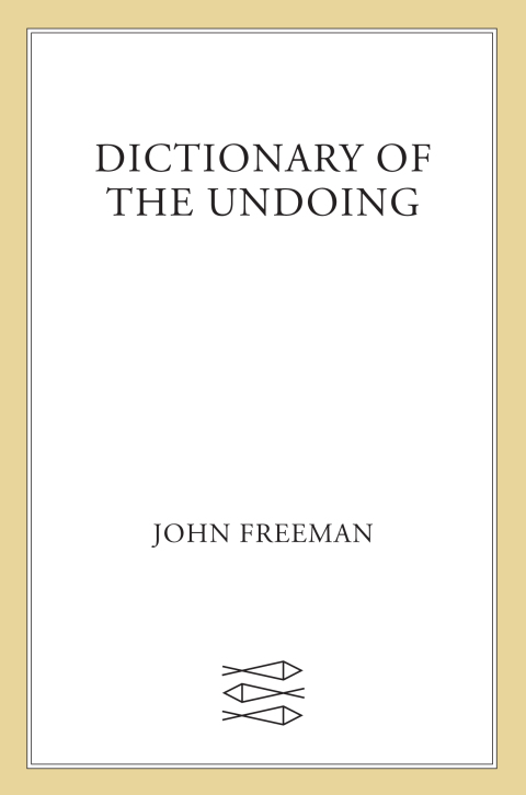 Cover image for book Dictionary of the Undoing