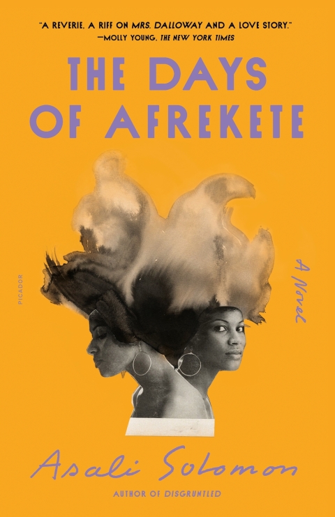 Cover image for book The Days of Afrekete