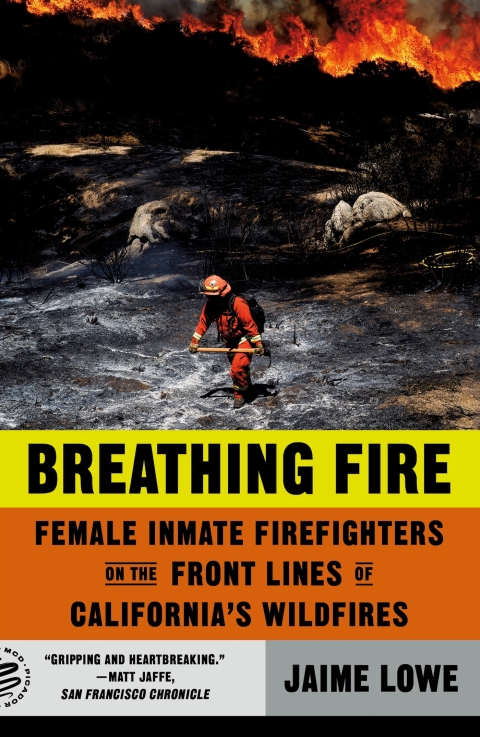 Cover image for book Breathing Fire