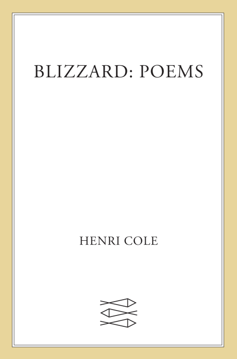 Cover image for book Blizzard