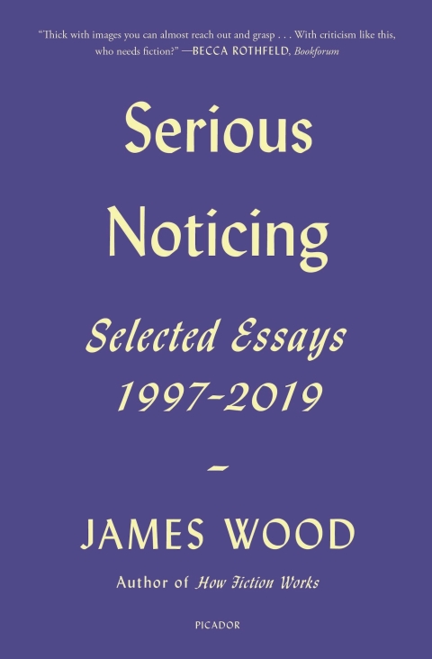 Cover image for book Serious Noticing