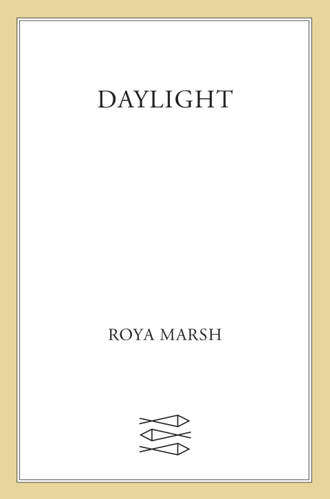 Cover image for book dayliGht