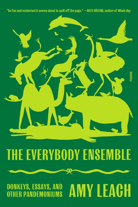 Cover image for book The Everybody Ensemble