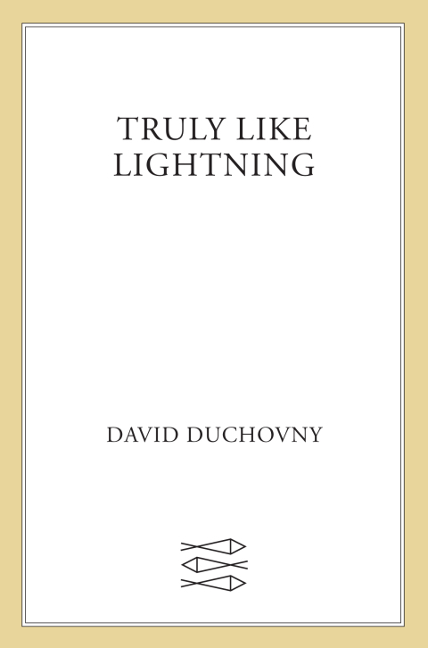 Cover image for book Truly Like Lightning