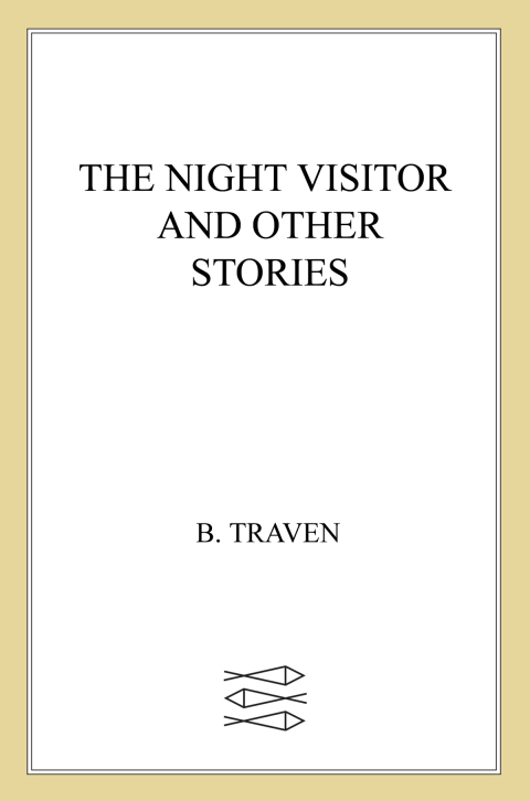 Cover image for book The Night Visitor