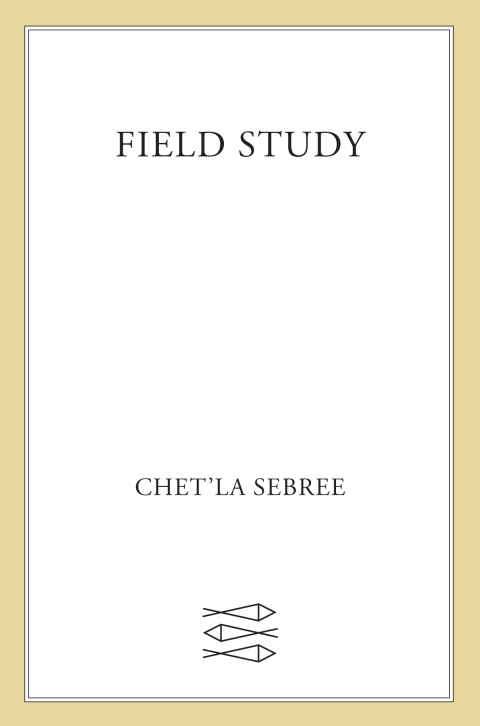 Cover image for book Field Study