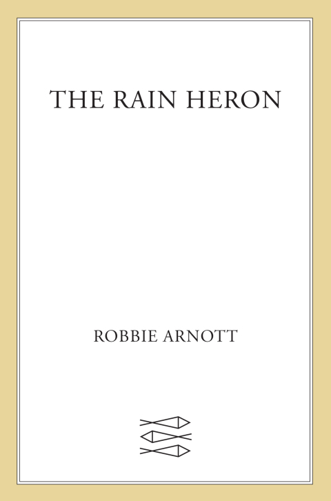 Cover image for book The Rain Heron
